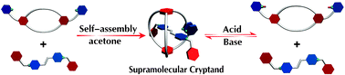 Graphical abstract: pH-responsive assembly and disassembly of a supramolecular cryptand-based pseudorotaxane driven by π–π stacking interaction