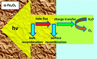 Graphical abstract: Kinetics and mechanism of light-driven oxygen evolution at thin film α-Fe2O3 electrodes