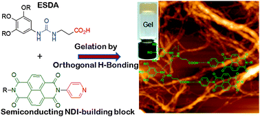 Graphical abstract: Two-component gelation and morphology-dependent conductivity of a naphthalene-diimide (NDI) π-system by orthogonal hydrogen bonding