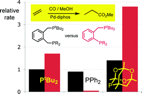 Graphical abstract: Interplay of bite angle and cone angle effects. A comparison between o-C6H4(CH2PR2)(PR′2) and o-C6H4(CH2PR2)(CH2PR′2) as ligands for Pd-catalysed ethene hydromethoxycarbonylation