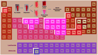 Graphical abstract: The present state of coupling of dispersive liquid–liquid microextraction with atomic absorption spectrometry