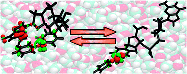 Graphical abstract: Conformational control of benzophenone-sensitized charge transfer in dinucleotides