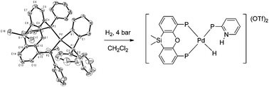 Graphical abstract: Heterolytic activation of dihydrogen by platinum and palladium complexes