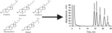 Graphical abstract: The analysis of faecal sterols in sediment samples by HPLC-UV using ultrasound-assisted treatment
