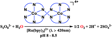 Graphical abstract: Photoinduced water oxidation catalyzed by a double-helical dicobalt(ii) sexipyridine complex