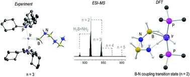 Graphical abstract: Multiple metal-bound oligomers from Ir-catalysed dehydropolymerisation of H3B·NH3 as probed by experiment and computation