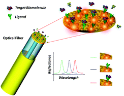 Graphical abstract: Lab-on-fiber technology: a new vision for chemical and biological sensing