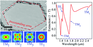 Graphical abstract: Excitation and tuning of Fano-like cavity plasmon resonances in dielectric–metal core–shell resonators
