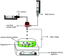 Graphical abstract: Pectin/Al2O3–ZrO2 core/shell bead sorbent for fluoride removal from aqueous solution
