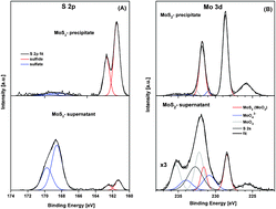 Graphical abstract: Synthesis and characterization of porous carbon–MoS2 nanohybrid materials: electrocatalytic performance towards selected biomolecules