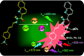 Graphical abstract: A multi-responsive turn-on flurogenic probe to sense Zn2+, Cd2+ and Pb2+: left-right-center emission signal swing