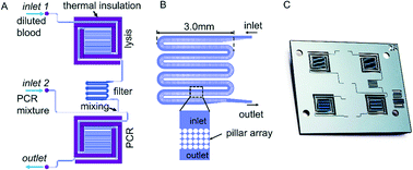 Graphical abstract: Multiplex SNP genotyping in whole blood using an integrated microfluidic lab-on-a-chip