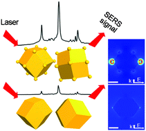 Graphical abstract: Size-controlled gold nano-tetradecapods with tunable optical and electromagnetic properties