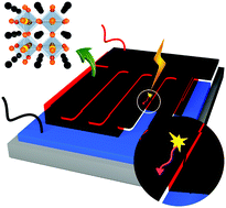 Graphical abstract: Back-contacted hybrid organic–inorganic perovskite solar cells