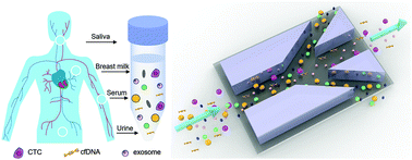 Graphical abstract: Advancements in microfluidic technologies for isolation and early detection of circulating cancer-related biomarkers