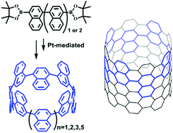 Graphical abstract: Facile three-step synthesis and photophysical properties of [8]-, [9]-, and [12]cyclo-1,4-naphthalene nanorings via platinum-mediated reductive elimination