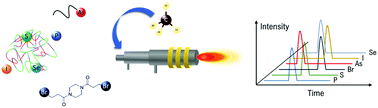 Graphical abstract: Universal absolute quantification of biomolecules using element mass spectrometry and generic standards