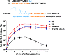Graphical abstract: Discovery of a self-assembling and self-adjuvant lipopeptide as a saccharide-free peptide vaccine targeting EGFRvIII positive cutaneous melanoma
