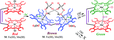 Graphical abstract: A dimanganese(iii) porphyrin dication diradical and its transformation to a μ-hydroxo porphyrin–oxophlorin heterodimer