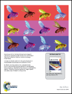 Graphical abstract: Back cover