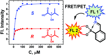 Graphical abstract: A dual chromophore sensor for the detection of amines, diols, hydroxy acids, and amino alcohols