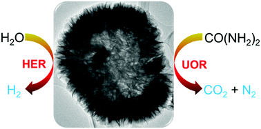 Graphical abstract: Bifunctional nickel oxide-based nanosheets for highly efficient overall urea splitting