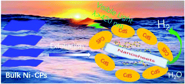 Graphical abstract: Ultrathin Ni(ii)-based coordination polymer nanosheets as a co-catalyst for promoting photocatalytic H2-production