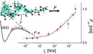 Graphical abstract: How strong are hydrogen bonds in the peptide model?