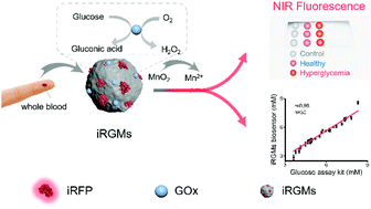 Graphical abstract: Biomineralization synthesis of a near-infrared fluorescent nanoprobe for direct glucose sensing in whole blood