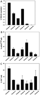Graphical abstract: The role of the aqueous extract Polypodium leucotomos in photoprotection