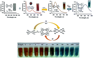 Graphical abstract: AuNPs@PMo12 nanozyme: highly oxidase mimetic activity for sensitive and specific colorimetric detection of acetaminophen