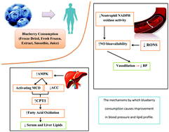 Graphical abstract: Beneficial effects of blueberry supplementation on the components of metabolic syndrome: a systematic review and meta-analysis
