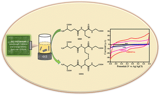 Graphical abstract: A nanosecond pulsed laser-ablated MWCNT-Au heterostructure: an innovative ultra-sensitive electrochemical sensing prototype for the identification of glutathione