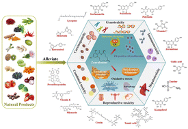 Graphical abstract: Toxicity of zearalenone and its nutritional intervention by natural products