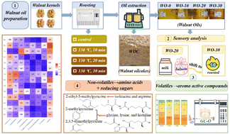 Graphical abstract: Roasting pretreatment of walnut (Juglans regia L.) kernels: improvement of the oil flavor profile and correlation with the chemical composition