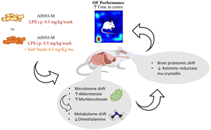 Graphical abstract: Saffron extract (Safr'Inside™) improves anxiety related behaviour in a mouse model of low-grade inflammation through the modulation of the microbiota and gut derived metabolites