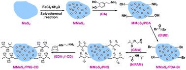 Graphical abstract: A chiral magnetic molybdenum disulfide nanocomposite for direct enantioseparation of RS-propranolol