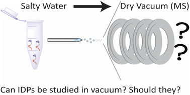 Graphical abstract: The role of solvation on the conformational landscape of α-synuclein