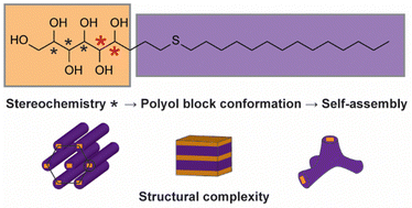 Graphical abstract: Stereochemistry-dependent thermotropic liquid crystalline phases of monosaccharide-based amphiphiles