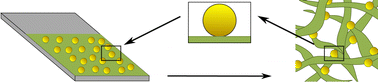 Graphical abstract: Conceptualizing flexible papers using cellulose model surfaces and polymer particles
