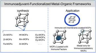 Graphical abstract: Immunoadjuvant-functionalized metal–organic frameworks: synthesis and applications in tumor immune modulation