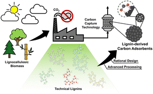 Graphical abstract: Lignin-based porous carbon adsorbents for CO2 capture