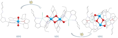 Graphical abstract: Controlled and sequential single-electron reduction of the uranyl dication