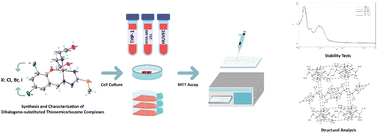 Graphical abstract: Synthesis, cytotoxicities, structural properties and comparison of dihalogeno-substituted-thiosemicarbazone ligands and mixed-ligand Ni(ii) complexes