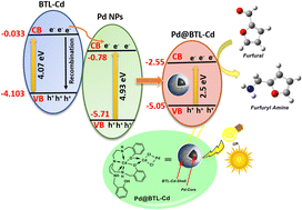 Graphical abstract: Pd@BTL–Cd core–shell nanoparticles as plasmonic photocatalysts for the reductive amination of furfural in water