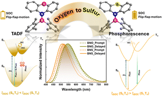 Graphical abstract: Transforming delayed fluorescence into blue-shifted phosphorescence in aminoboranes via oxygen-to-sulfur substitution on the donor amine