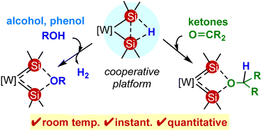 Graphical abstract: A hydrogen-bridged bis(silylene) complex as a platform for small molecule activation via adjacent metal–ligand cooperation