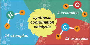 Graphical abstract: Chiral single-atom-bridged diphosphorus ligands: synthesis, complexation and catalysis