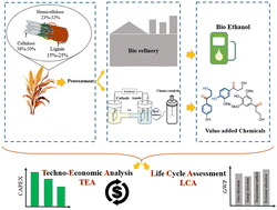 Graphical abstract: Comparative techno-economic and life cycle assessment of electrocatalytic processes for lignin valorization