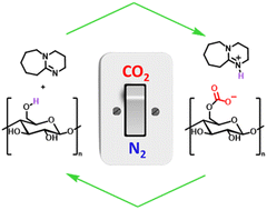 Graphical abstract: CO2 switchable solvents for sustainable dissolution, modification, and processing of cellulose materials: a critical review